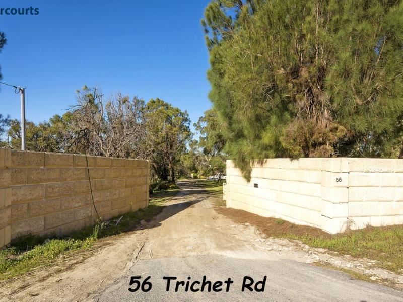 56 Trichet Road, Wanneroo WA 6065