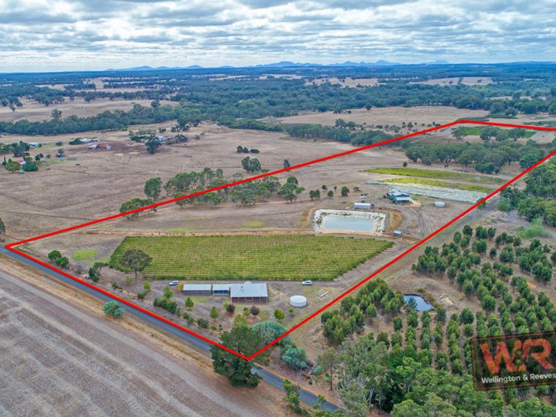130 Boyup Road, Forest Hill