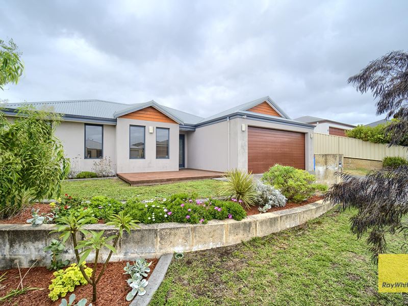 62 Pegasus Boulevard, Mckail