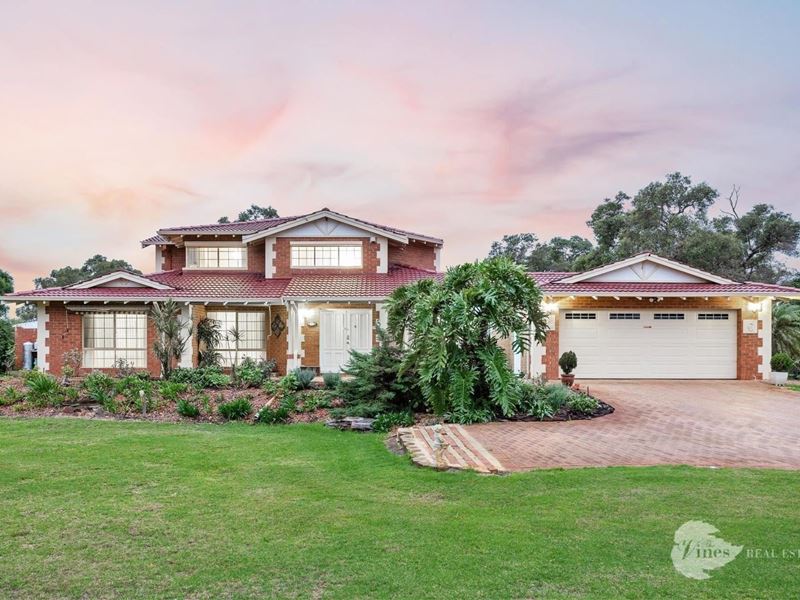 42 Vines Avenue, The Vines