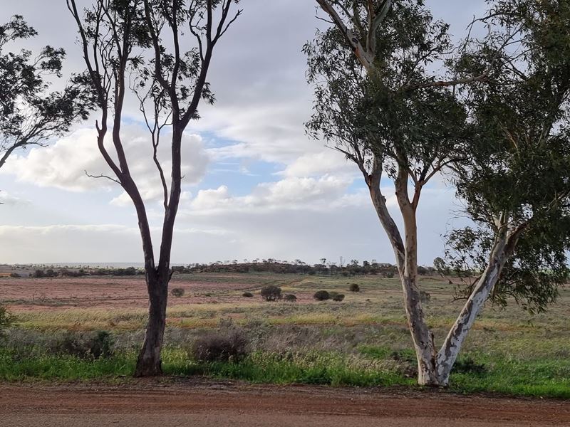 36 Birdwood Street, Mullewa
