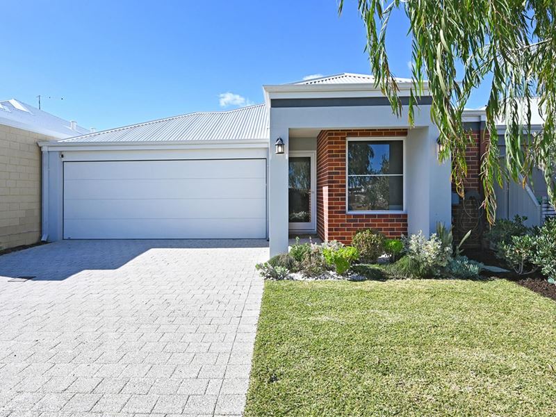 54 Buchanan Avenue, Alkimos