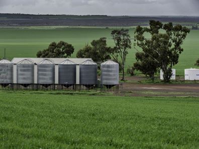 Lake Hinds  Road North, Wongan Hills WA 6603