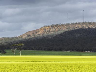 Lake Hinds  Road North, Wongan Hills WA 6603