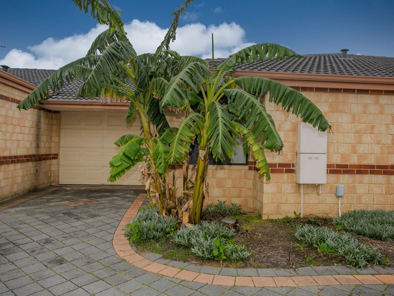 4/41 George Street, Midland