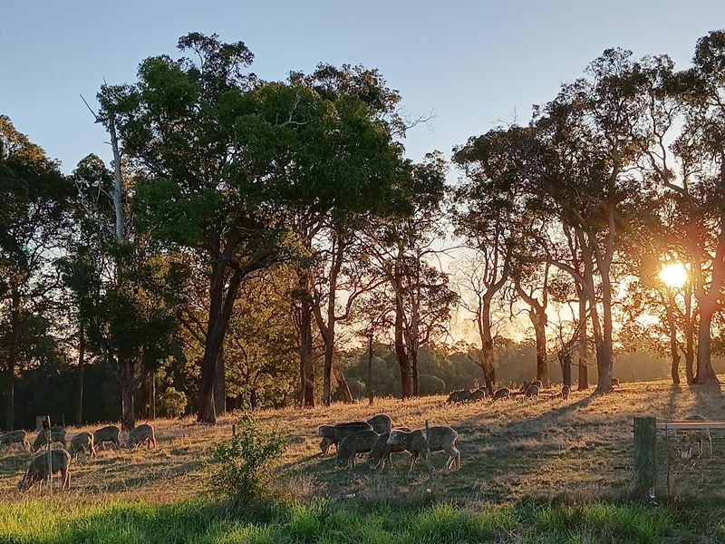 252 Jamieson Road, Capel