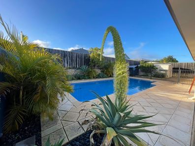 9 Blendon Avenue, Ellenbrook WA 6069
