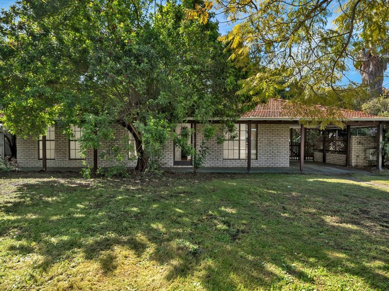 1 Adenandra Way, Greenwood