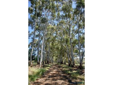 197 Henderson Road, Kangaroo Gully WA 6255