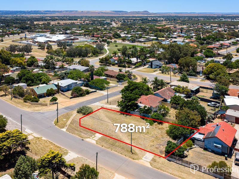 2 Hebe Street, Rangeway WA 6530