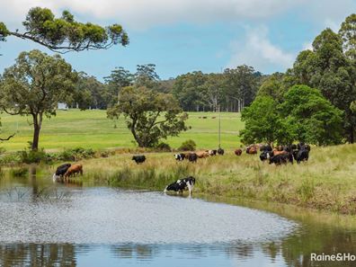 198 Glenrowan Road, Scotsdale WA 6333
