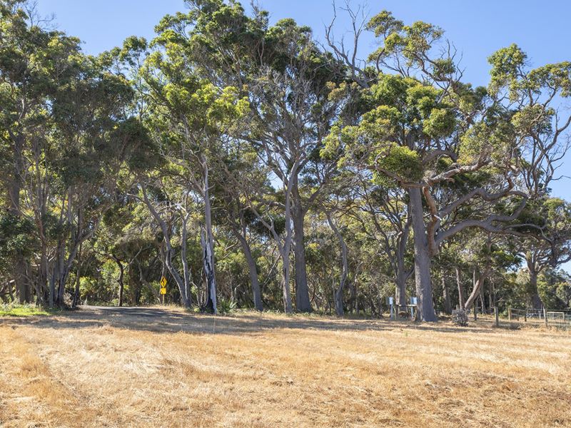 374 Kudardup Road, Kudardup WA 6290