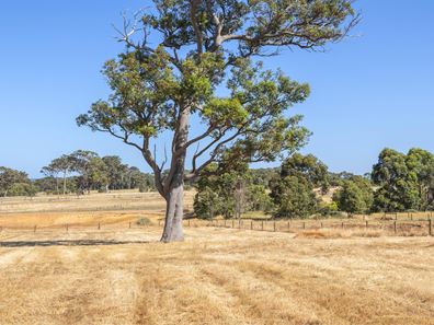 374 Kudardup Road, Kudardup WA 6290