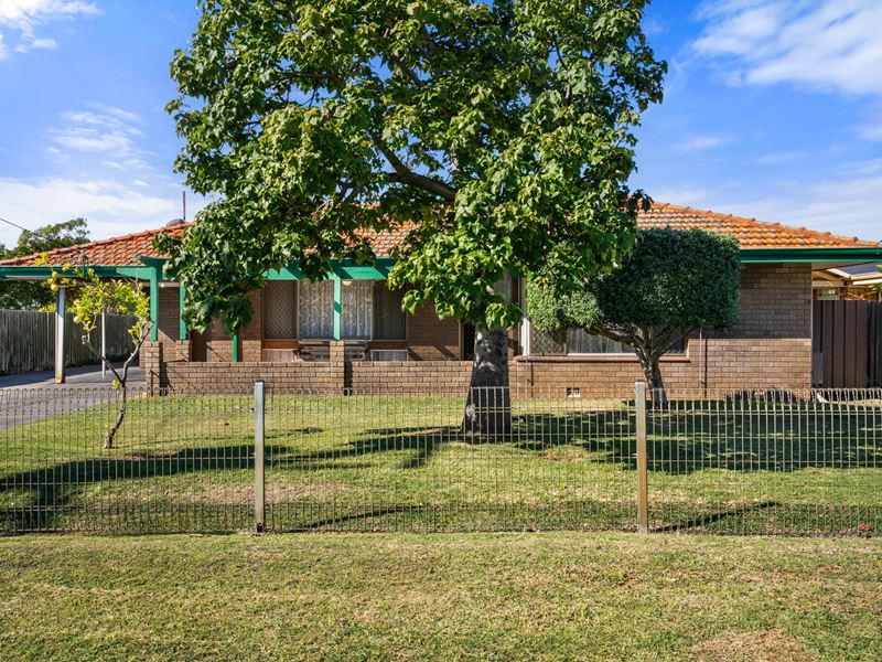 4 Tamalee Place, Hillman WA 6168
