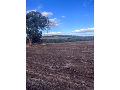 Lot 1 Wariin Road, Copley WA 6562