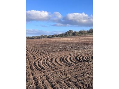 Lot 1 Wariin Road, Copley WA 6562