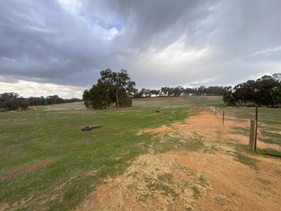260 O'connell Road, Wandering WA 6308