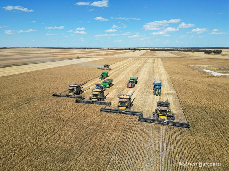 . "WIMBURRA AGGREGATION", Gnowangerup