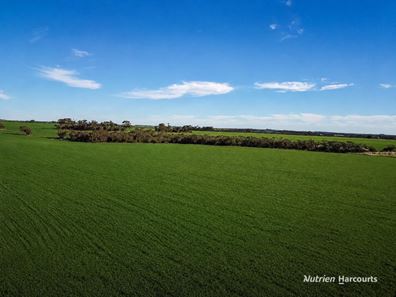 . "WIMBURRA AGGREGATION", Gnowangerup WA 6335