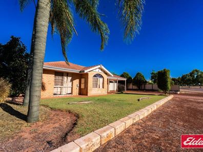 22 Tappak  Way, Waggrakine WA 6530