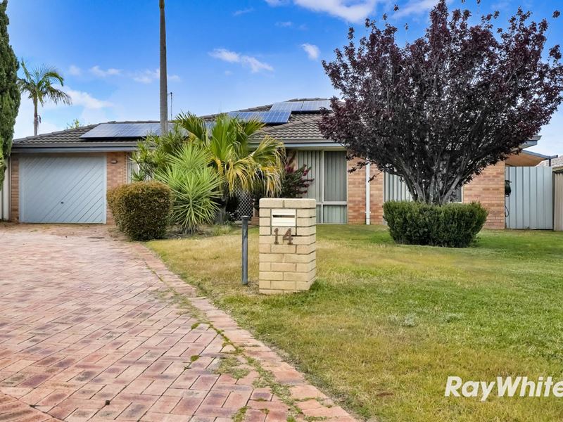 14 Boab Court, Alexander Heights WA 6064