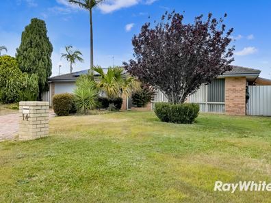 14 Boab Court, Alexander Heights WA 6064