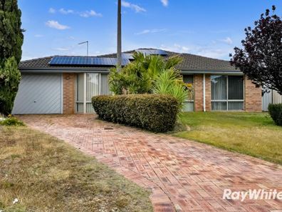 14 Boab Court, Alexander Heights WA 6064