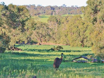 Lot 6 Morley Road, Lower Chittering WA 6084