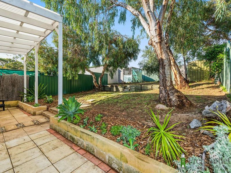 8 Harfleur Pl, Hamilton Hill WA 6163