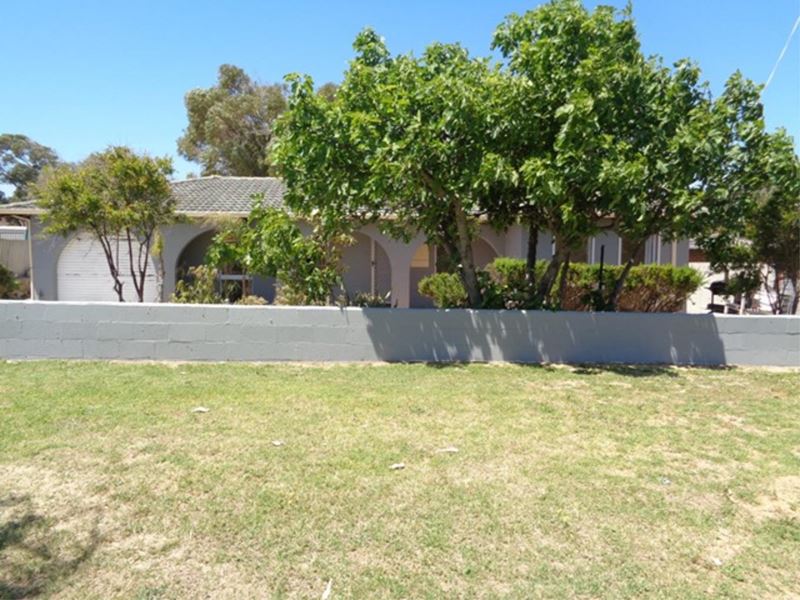 20 Blaxland Avenue, Two Rocks