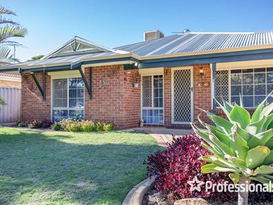 41 Lyrebird Loop, Seville Grove WA 6112