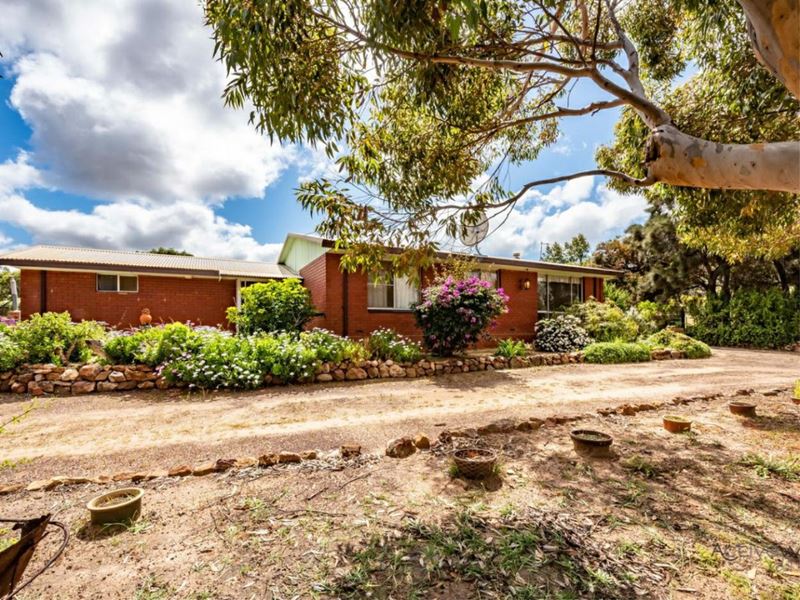 53 Stephen Road, Waggrakine