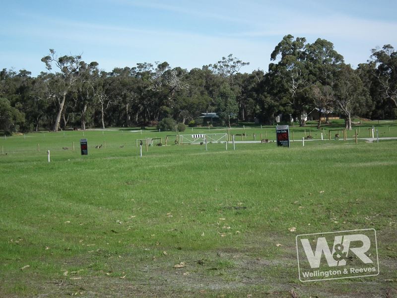 Lot 54 Greenwood Drive, Willyung