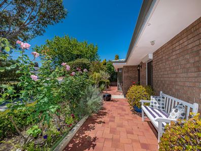 41 Afric Way, Kallaroo WA 6025