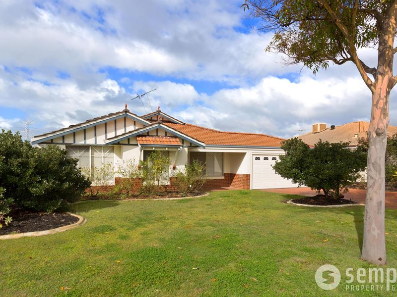 18 Steiner Avenue, Success
