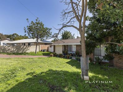 125 Camberwarra Drive, Craigie WA 6025