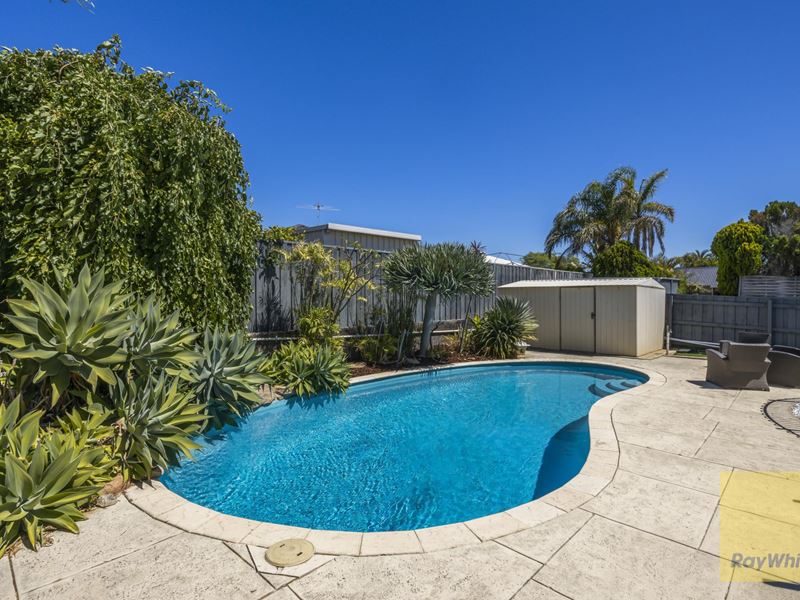 66 Lithgow Drive, Clarkson