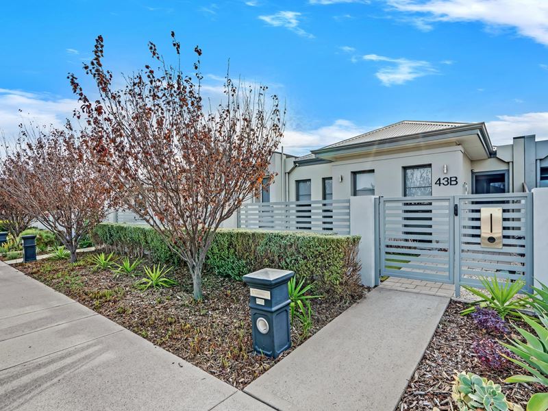 43B Constellation Drive, Australind