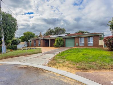 16 Bluegum Close, Armadale WA 6112