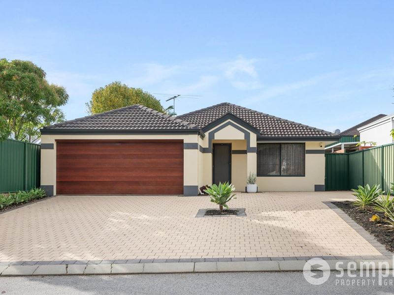 23 Astroloma Drive, Success WA 6164