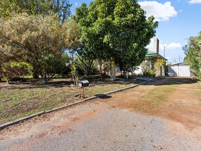 17 Camillo St, Coolbellup WA 6163