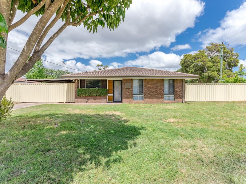 1 Cohuna Drive, Armadale WA 6112