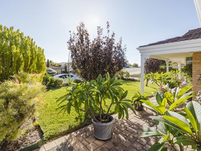 111 Aldersea Circle, Clarkson WA 6030