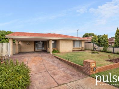 7 Dorre Court, Shelley WA 6148