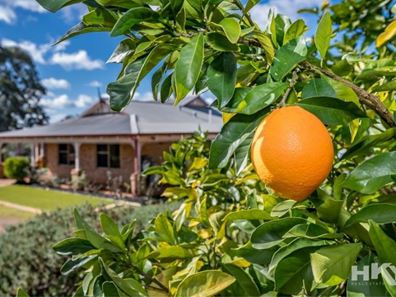 75 Hart Drive, Chittering WA 6084