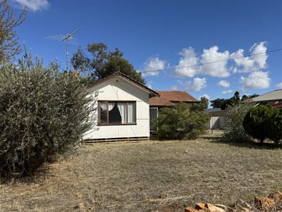 10 Williamson Street, Three Springs WA 6519
