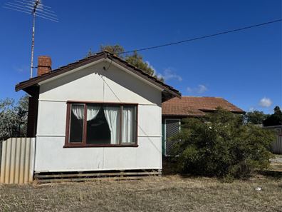 10 Williamson Street, Three Springs WA 6519