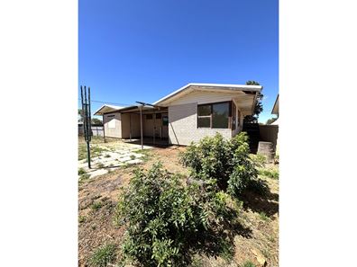 79 Rushton  Street, Carnarvon WA 6701