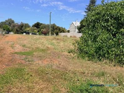 48 Telluride Street, Greenbushes WA 6254