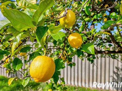 3A Jackson Street, Waroona WA 6215